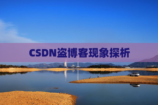 CSDN盗博客现象探析